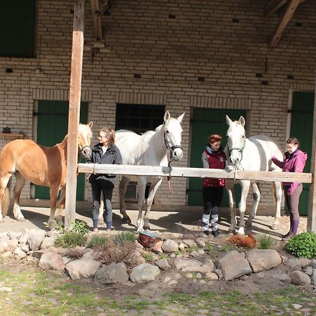 Gastehaus Tobringen 20 Guest House Bagian luar foto