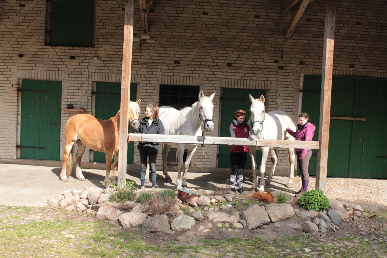 Gastehaus Tobringen 20 Guest House Bagian luar foto