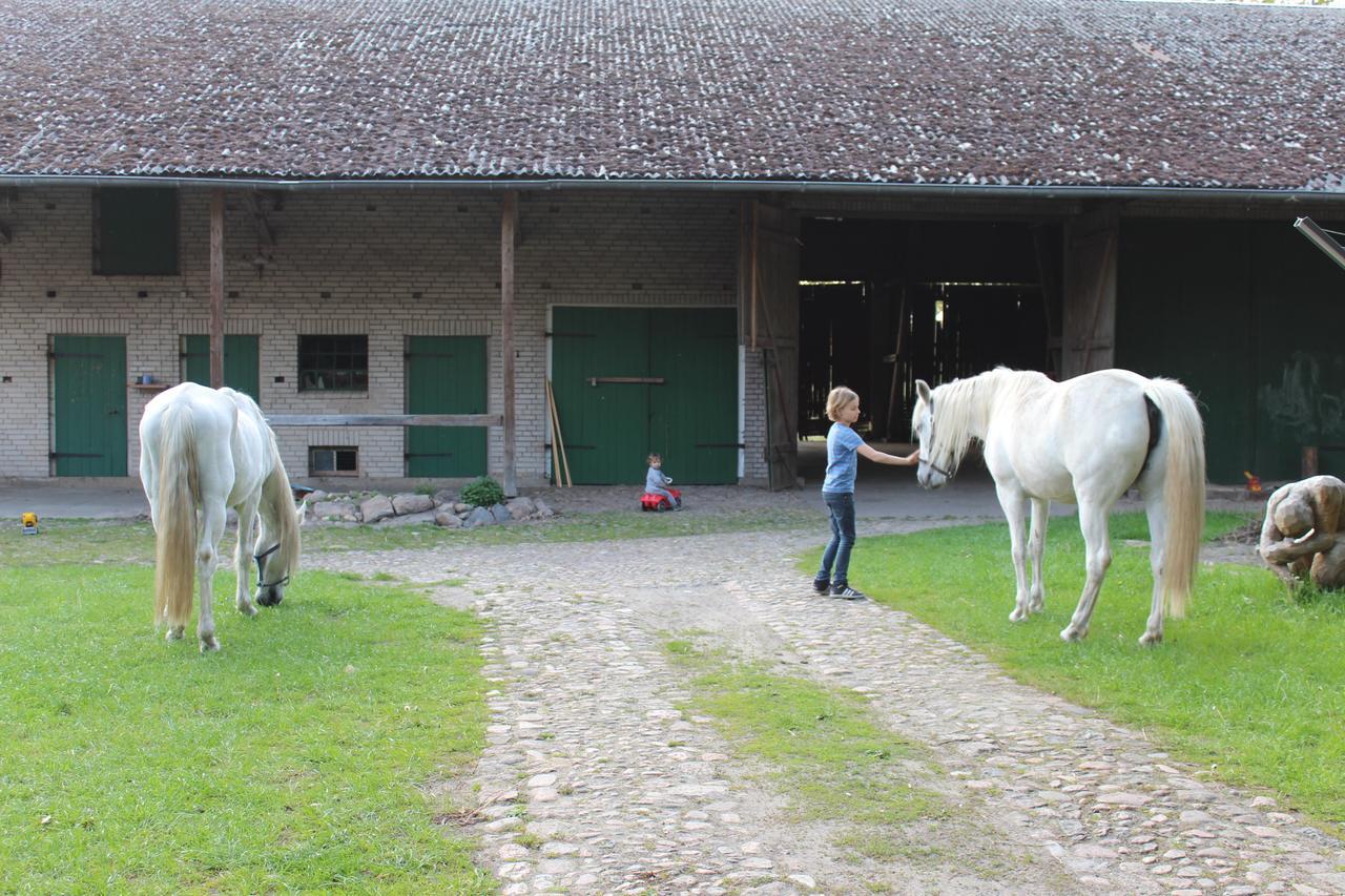 Gastehaus Tobringen 20 Guest House Bagian luar foto